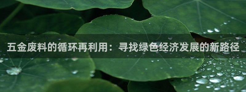 天狮娱乐是做什么的