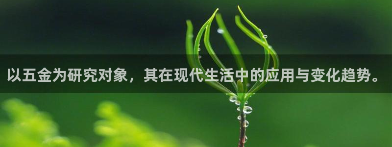 天狮娱乐h 判官