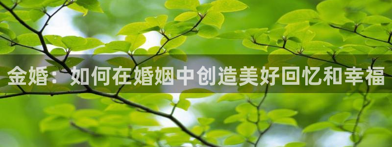 鸿图娱乐下载天狮