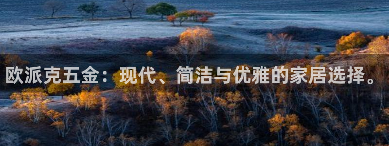 天狮娱乐h 判官