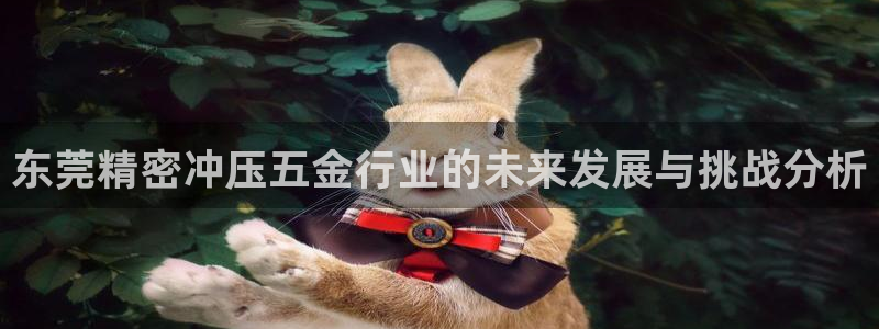 天狮娱乐950954