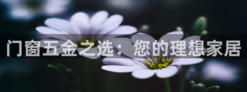 天狮娱乐d 判官