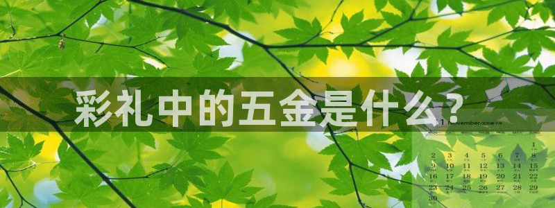 天狮娱乐是什么东西