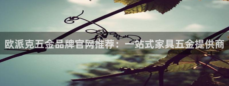 天狮娱乐h 判官