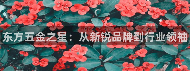 天狮娱乐-扣 股东