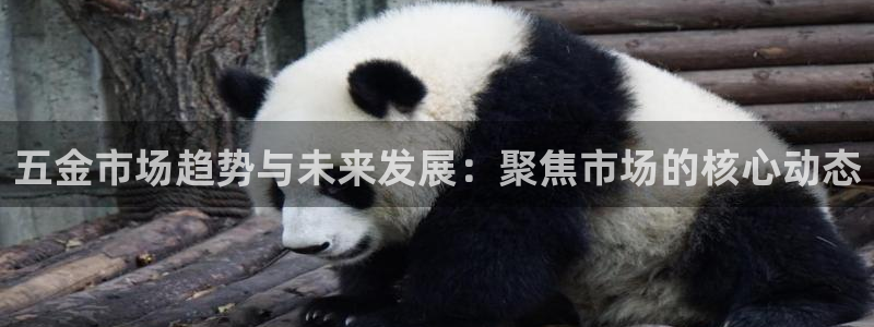 天狮娱乐是做什么的