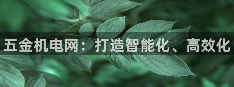 天狮娱乐怎样下载