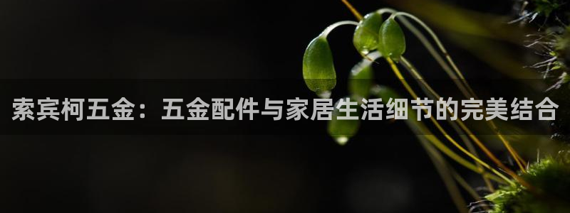 天狮娱乐最新版本