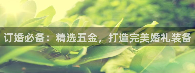 天狮娱乐hefame