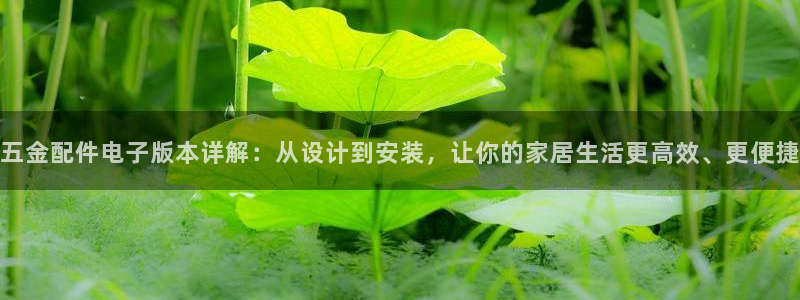 天狮娱乐嘉扣 o