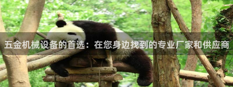 天狮娱乐负责