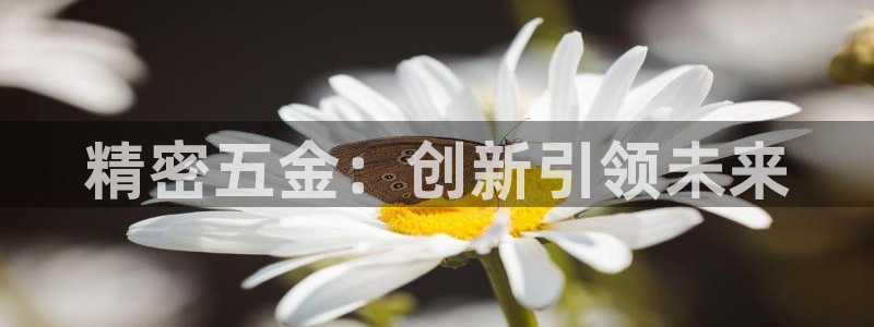 天狮娱乐 c主管57661