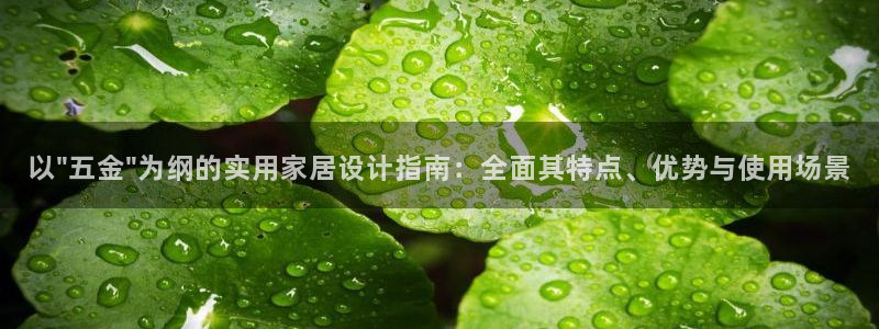 天狮娱乐f 判官
