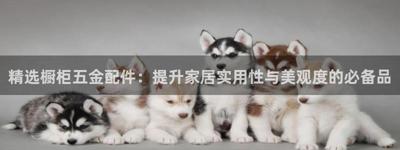 天狮娱乐彩票怎么样