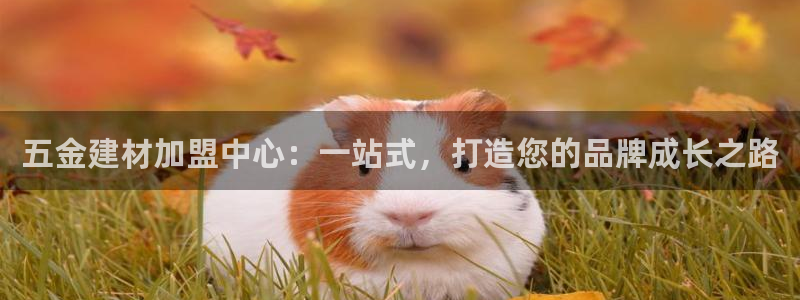 天狮娱乐返点