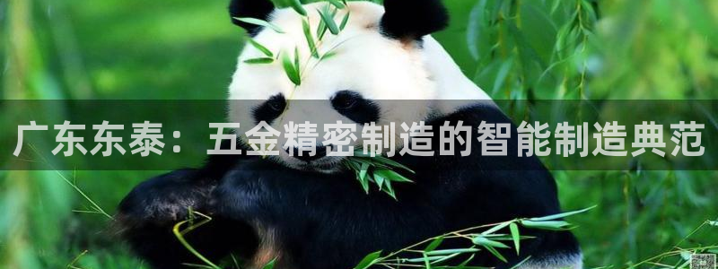 天狮娱乐是什么