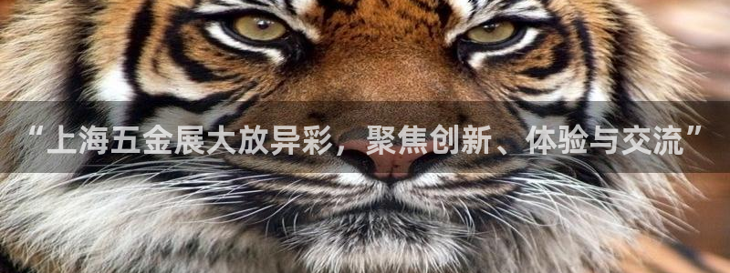 天狮娱乐f 判官