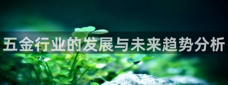 天狮娱乐q