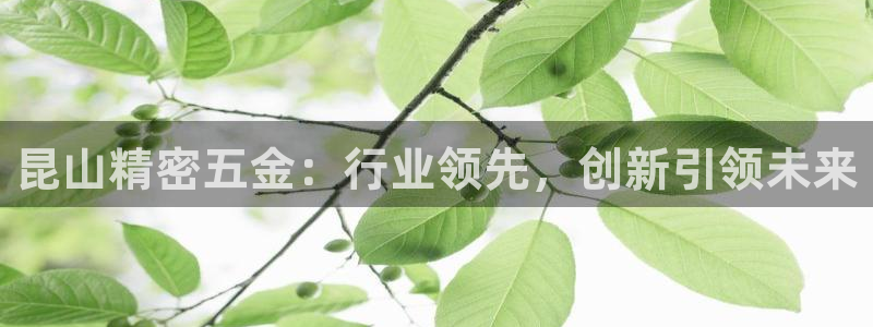 天狮娱乐60447股东