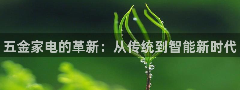 天狮娱乐负责人