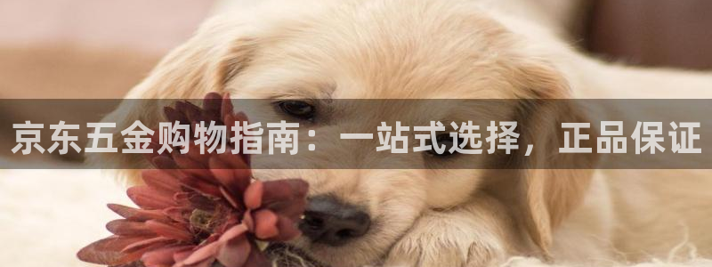 天狮娱乐靠谱吗