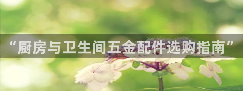 天狮娱乐主