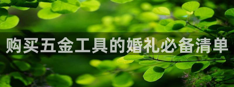 天狮娱乐股东代理
