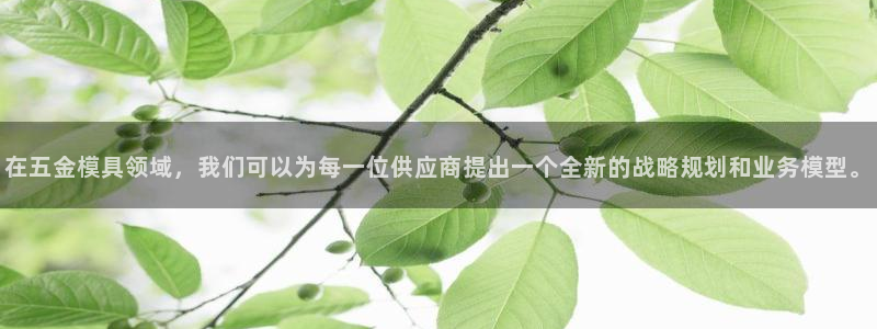 天狮娱乐q39096s