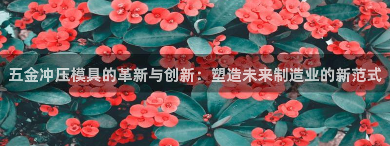 天狮娱乐官方代理