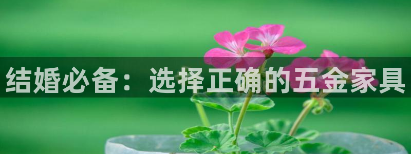 天狮娱乐彩票客服电话