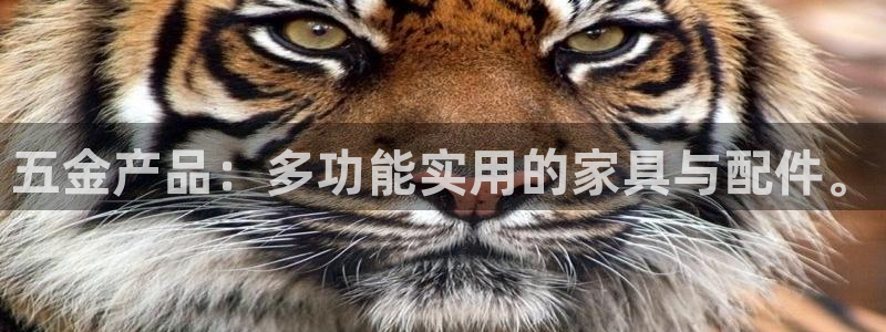 天狮娱乐b OO判官