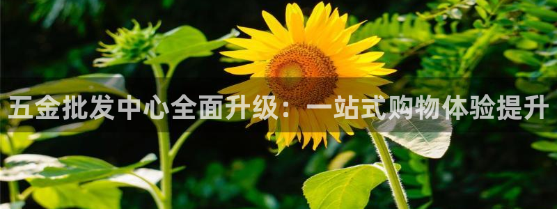 天狮娱乐挂机