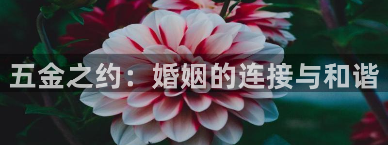 天狮娱乐股东待遇