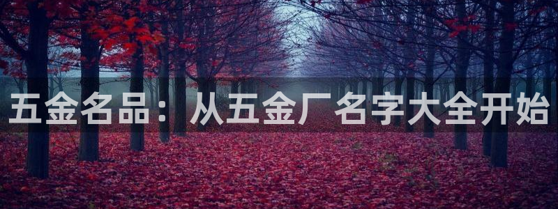 天狮娱乐bd33net广告