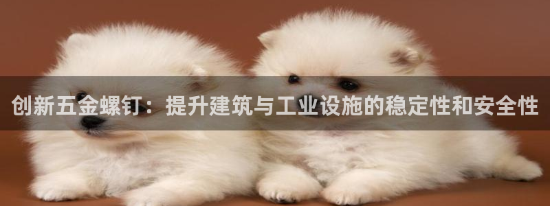 天狮娱乐负责