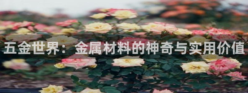 天狮娱乐是黑台子吗