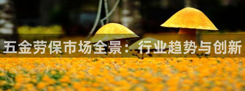 天狮娱乐彩票靠谱吗
