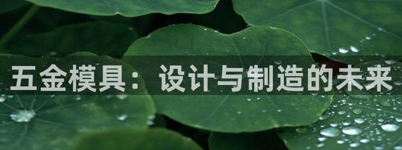 天狮娱乐网址