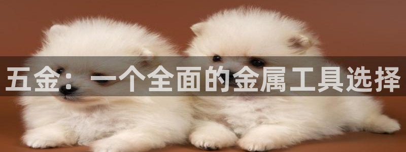 天狮娱乐会路吗