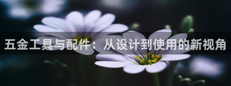 天狮娱乐主管