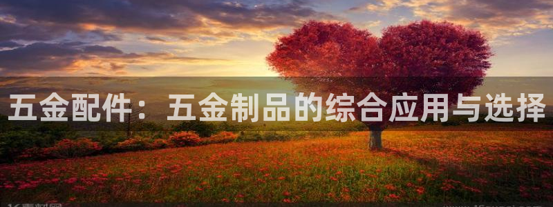 天狮娱乐f 判官