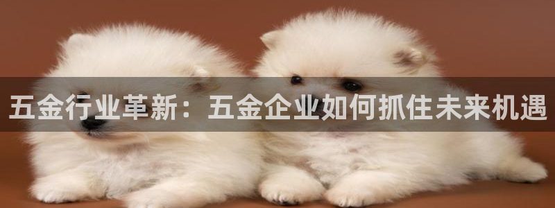 天狮娱乐c OO判官
