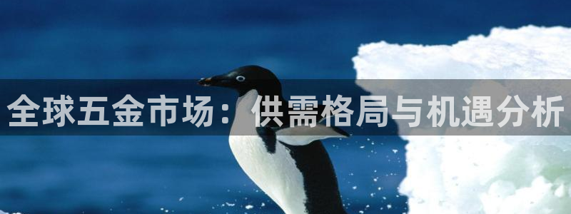 天狮娱乐股东88383