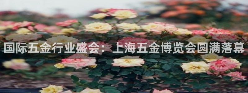 天狮娱乐26日判官333oo