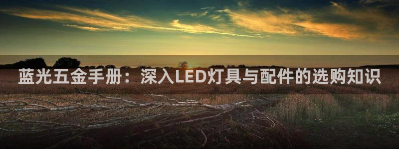 天狮娱乐是什么