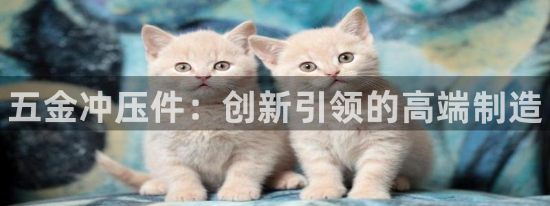 天狮娱乐i股t东64681