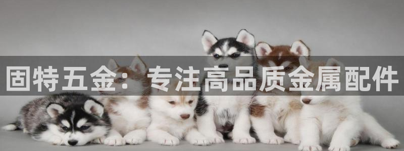 天狮娱乐q聊_99399天神_