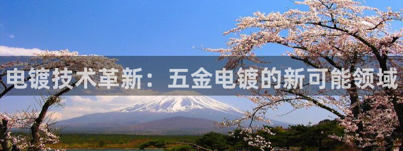 天狮娱乐股东36633