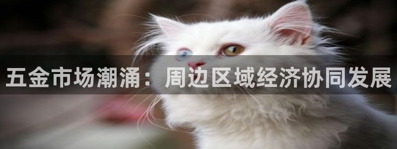 天狮国际娱乐平台