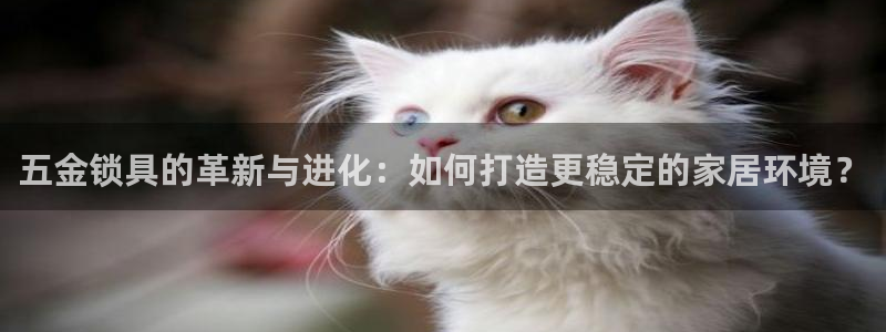 天狮娱乐招商帐7O777